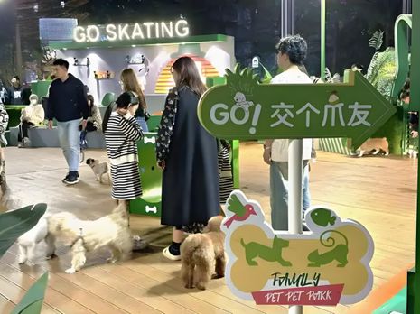 鲜生丨宠物坐高铁侯毅下厨房不朽情缘游戏平台实探派特(图2)