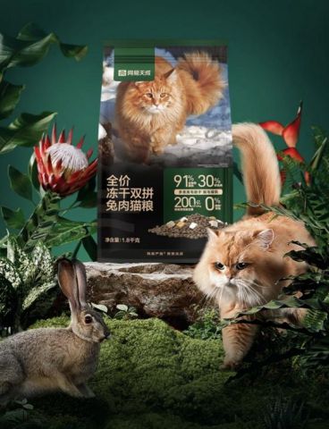 际橙点奖国产宠粮打破“进口垄断”MG不朽情缘网易严选猫粮首获国(图3)