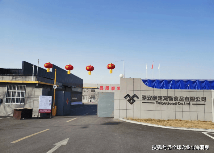 获国际橙点奖完整获奖名单来了不朽情缘模拟器中国宠物品牌斩(图2)