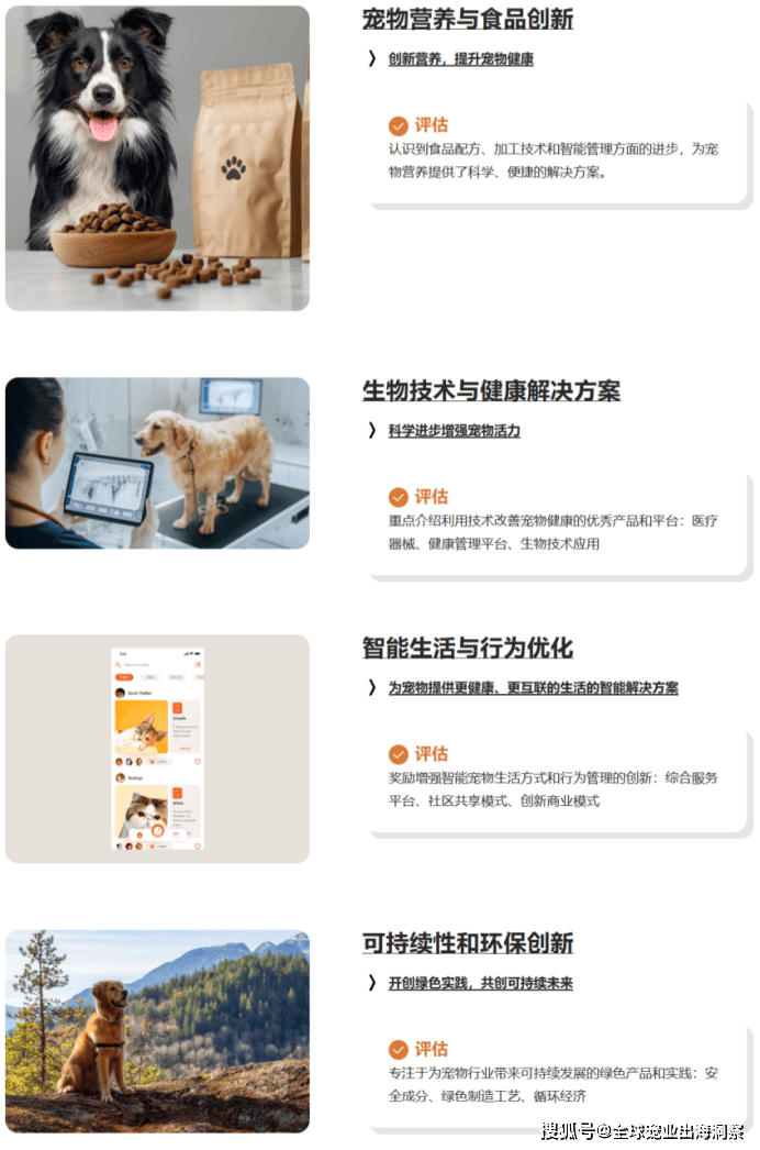 获国际橙点奖完整获奖名单来了不朽情缘模拟器中国宠物品牌斩(图6)