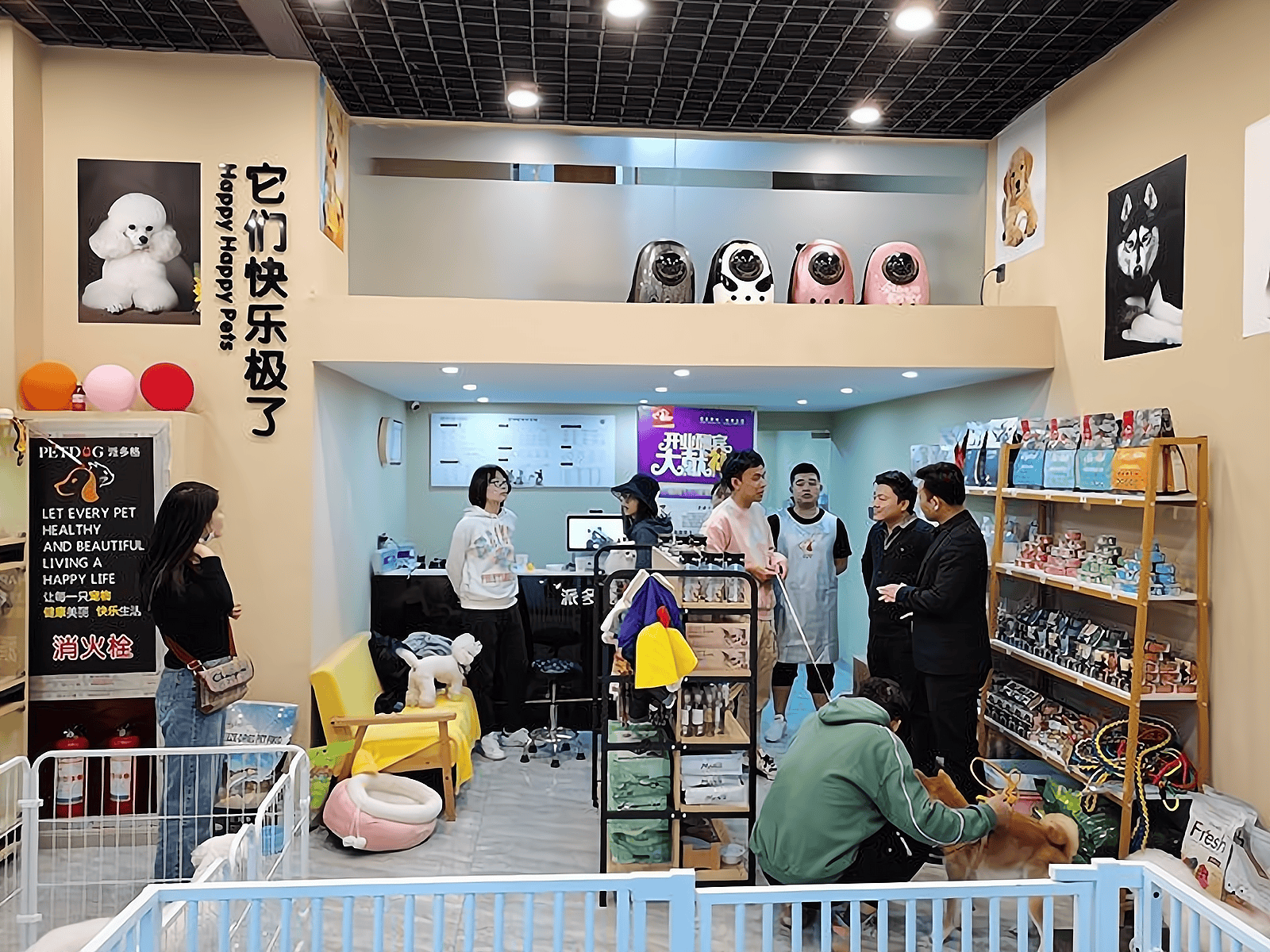 物产业交易平台诚邀共赴萌宠经济新蓝海不朽情缘平台推荐帅克宠物：一站式宠