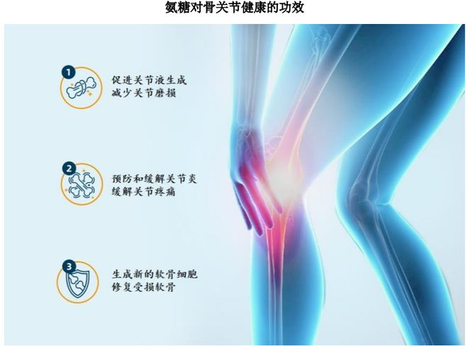 团：扎根运动健康赛道凭多元布局赢长远未来不朽情缘游戏网站址HMB全球龙头技源集(图3)