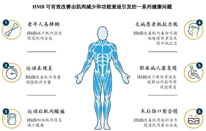 团：扎根运动健康赛道凭多元布局赢长远未来不朽情缘游戏网站址HMB全球龙头技源集(图7)
