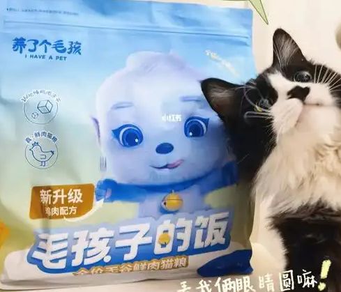 粮！三只松鼠靠什么重返宠物食品赛道不朽情缘登录零食巨头盯上毛孩子口(图4)