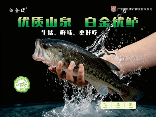 展销邀您共迎新春三水迎春集市2月4日开市不朽情缘电子游戏非遗体验、春联送福、惠民(图6)